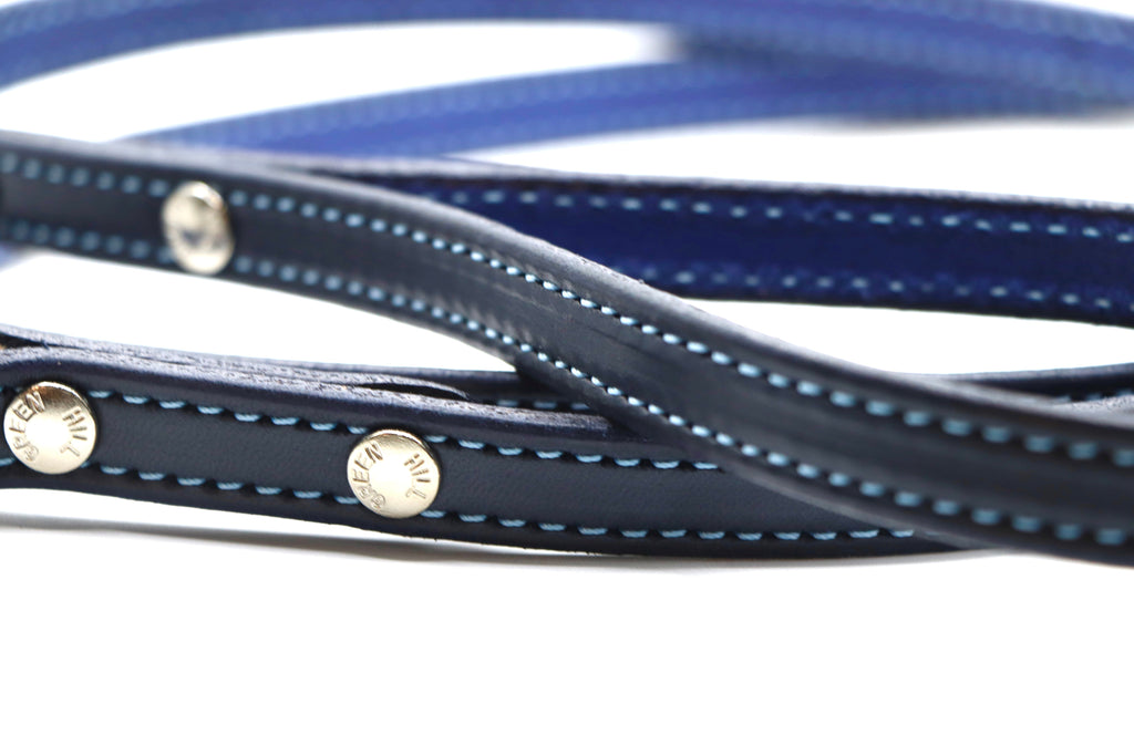 Limited Edition Light Blue Stitched Dog Leash