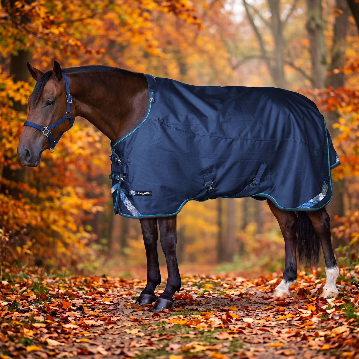 1200D Lightweight 80g Euro Cut Horse Winter Turnout Blanket - Waterproof & Breathable