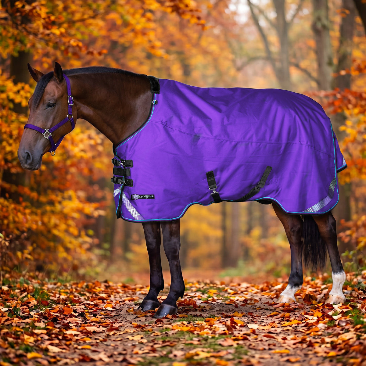 1200D Lightweight 80g Euro Cut Horse Winter Turnout Blanket - Waterproof & Breathable