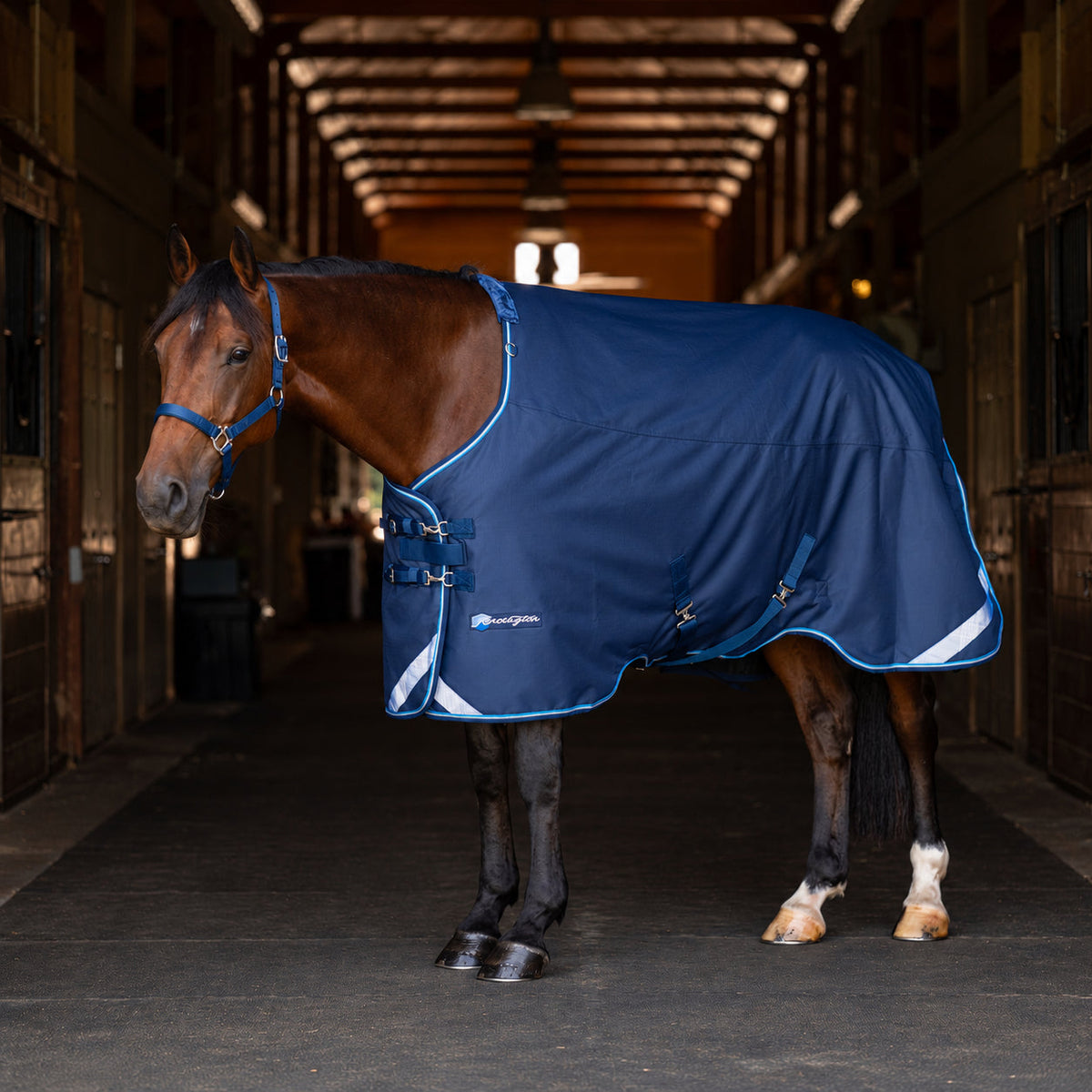 1200D Midweight 180g Euro Cut Horse Winter Turnout Blanket - Waterproof & Breathable
