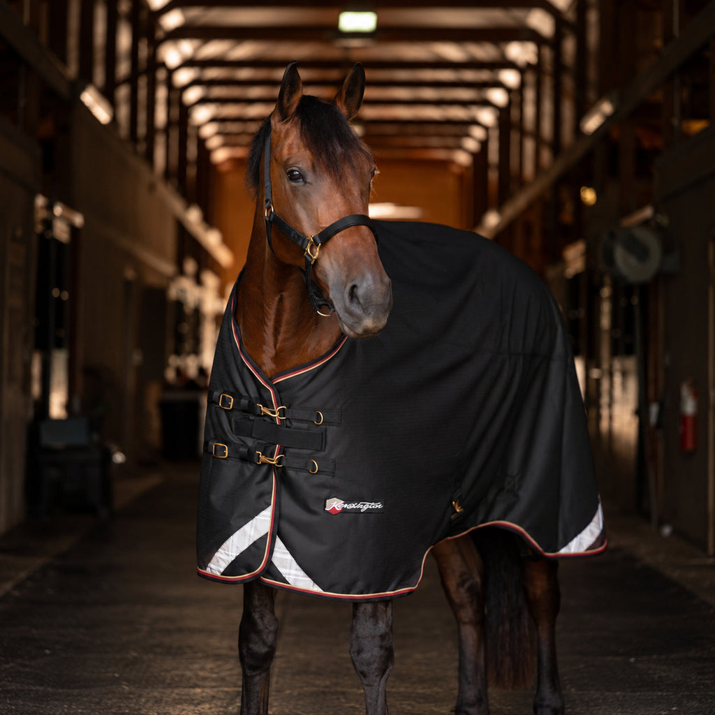 1200D Midweight 180g Euro Cut Horse Winter Turnout Blanket - Waterproof & Breathable