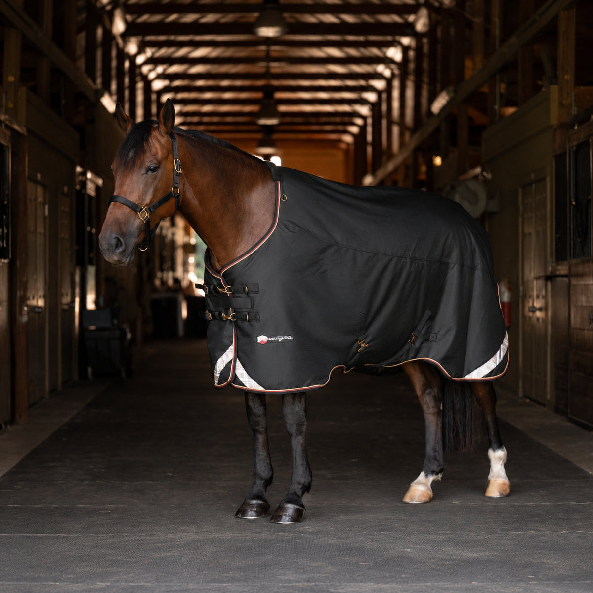 1200D Midweight 180g Euro Cut Horse Winter Turnout Blanket - Waterproof & Breathable
