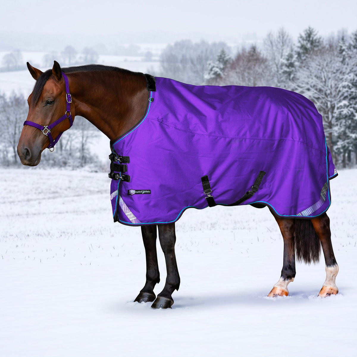 1200D Midweight 180g Euro Cut Horse Winter Turnout Blanket - Waterproof & Breathable