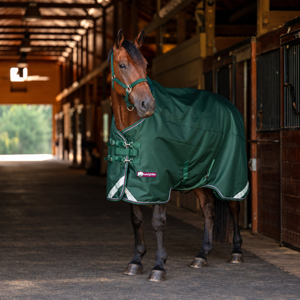 1200D Heavyweight 300g Euro Cut Horse Winter Turnout Blanket - Waterproof & Breathable