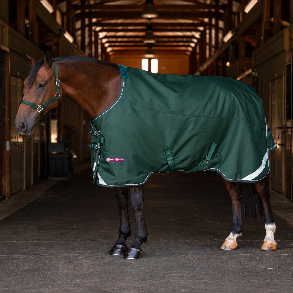 1200D Heavyweight 300g Euro Cut Horse Winter Turnout Blanket - Waterproof & Breathable