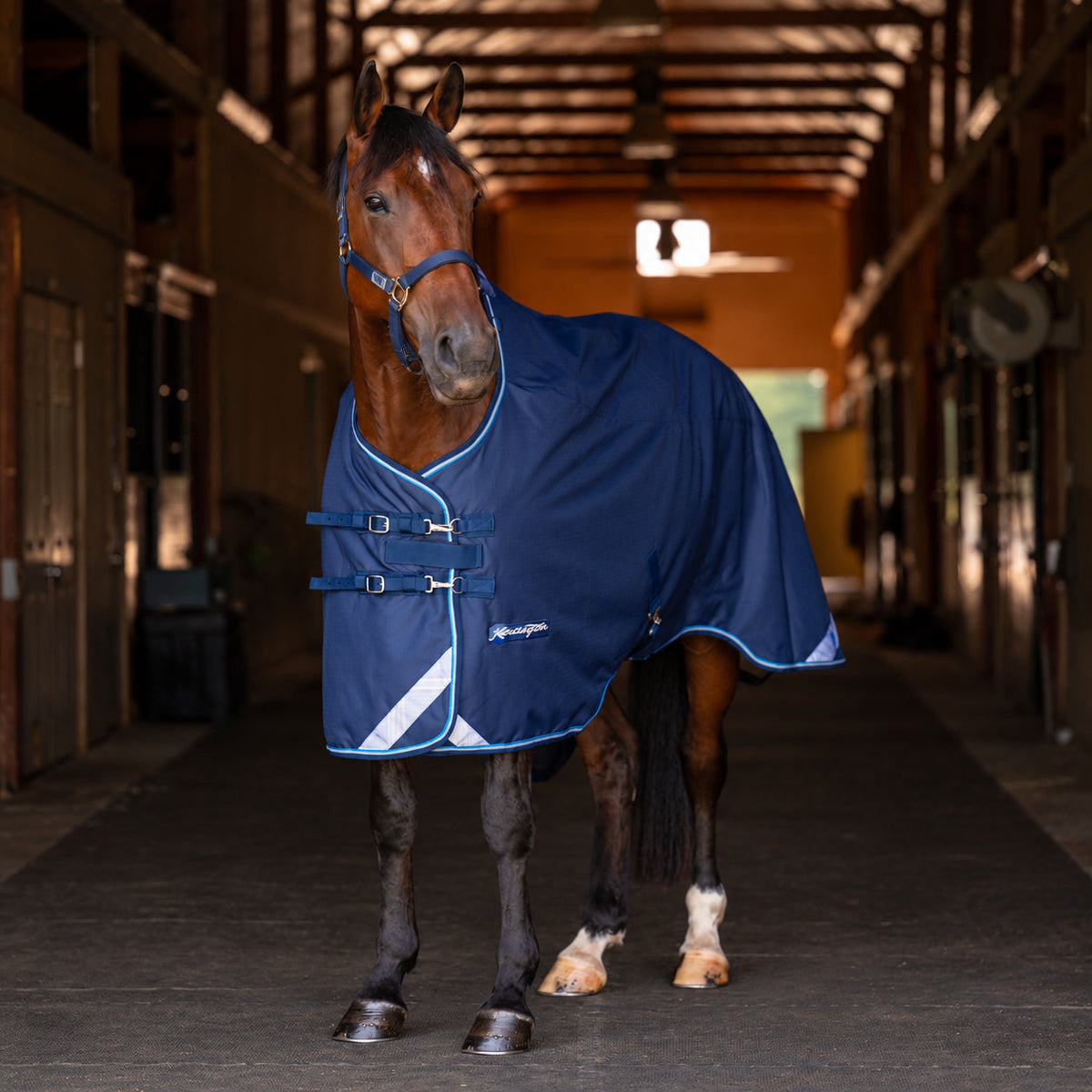 1200D Heavyweight 300g Euro Cut Horse Winter Turnout Blanket - Waterproof & Breathable