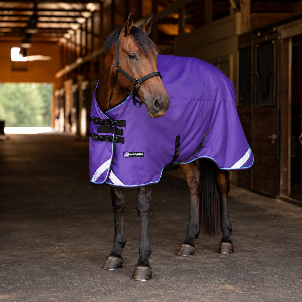 1200D Heavyweight 300g Euro Cut Horse Winter Turnout Blanket - Waterproof & Breathable