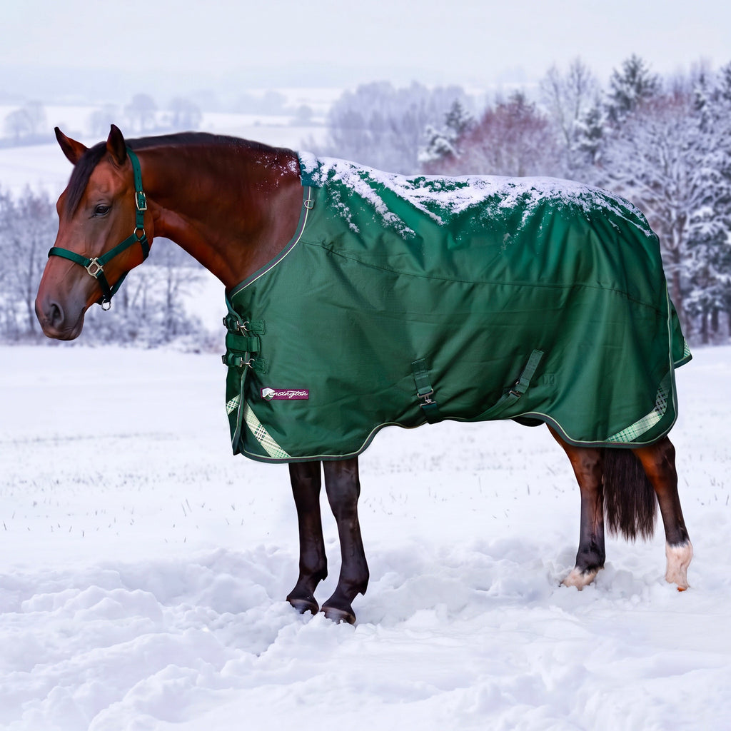 1200D Heavyweight 300g Euro Cut Horse Winter Turnout Blanket - Waterproof & Breathable