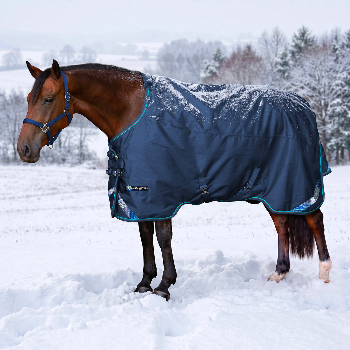 1200D Heavyweight 300g Euro Cut Horse Winter Turnout Blanket - Waterproof & Breathable