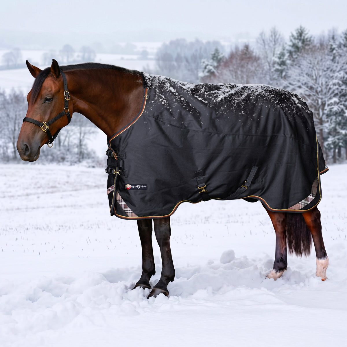1200D Heavyweight 300g Euro Cut Horse Winter Turnout Blanket - Waterproof & Breathable