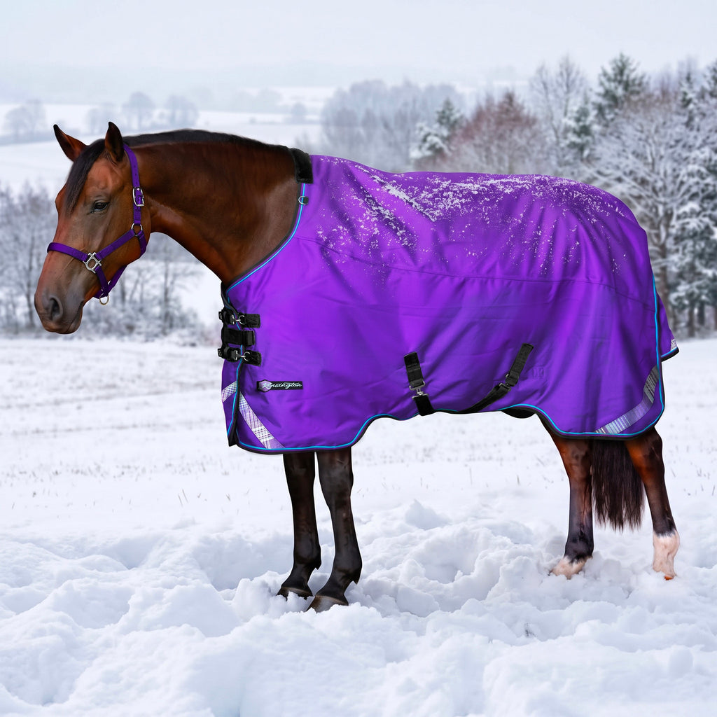 1200D Heavyweight 300g Euro Cut Horse Winter Turnout Blanket - Waterproof & Breathable