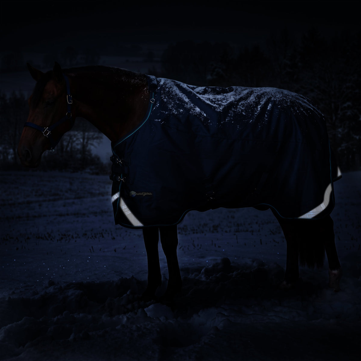 1200D Heavyweight 300g Euro Cut Horse Winter Turnout Blanket - Waterproof & Breathable