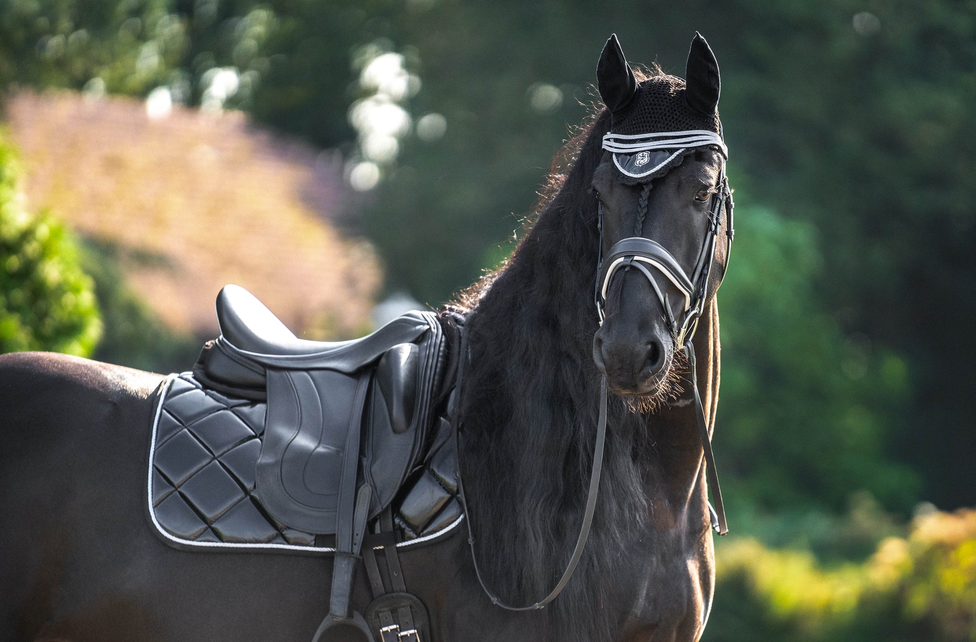 Black Ink Saddle Pad