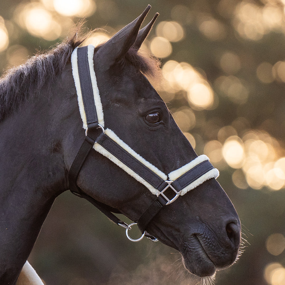 Midnight Black Halter