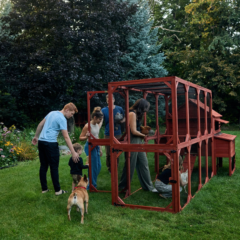 Chicken Coop for 10 Chickens – Rhode Island Homestead Coop with Run Extension Options