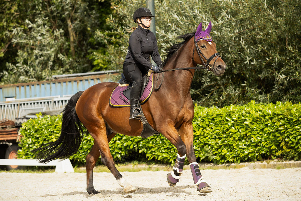 Dark Orchid Saddle Pad Set