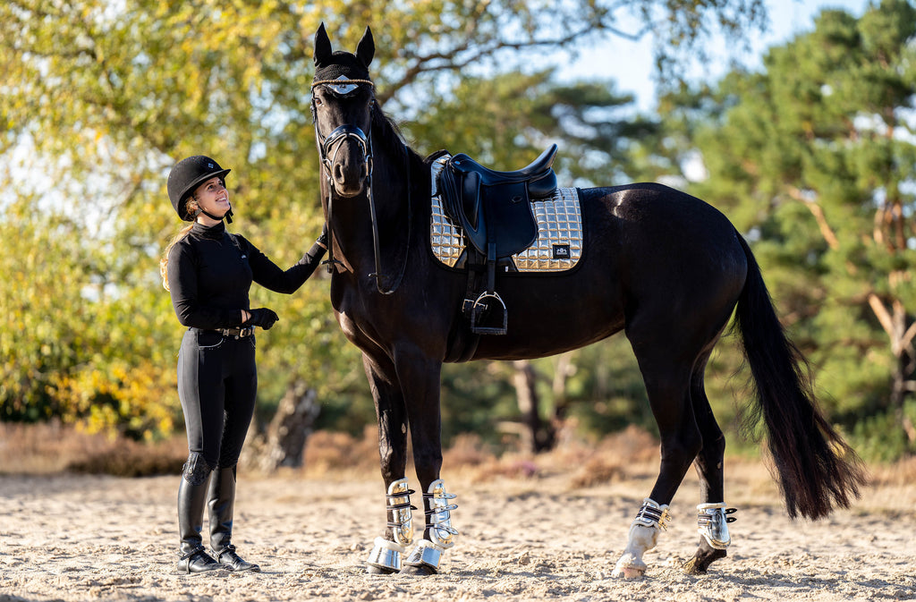 Aurum Saddle Pad Set