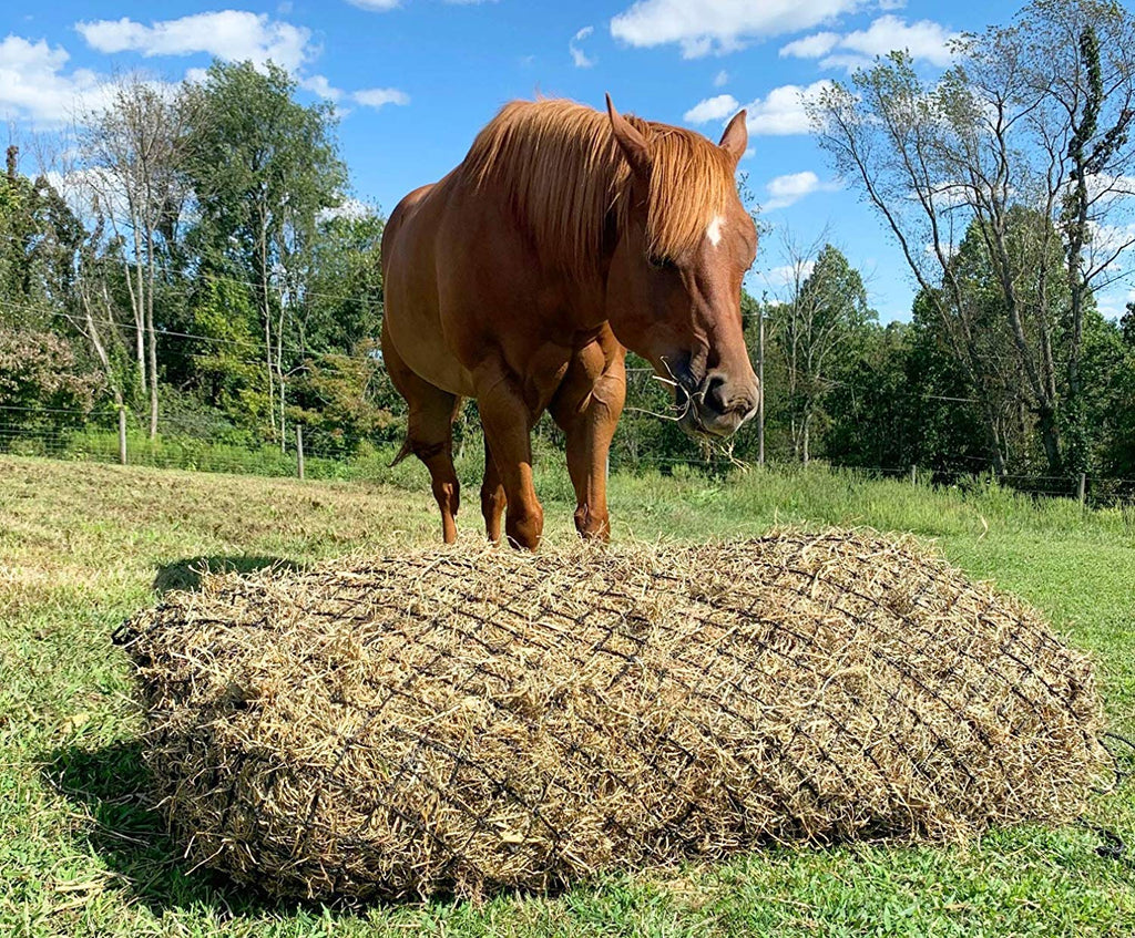 Derby Originals 90” Giant Slow Feed Hanging Hay Net for Horses