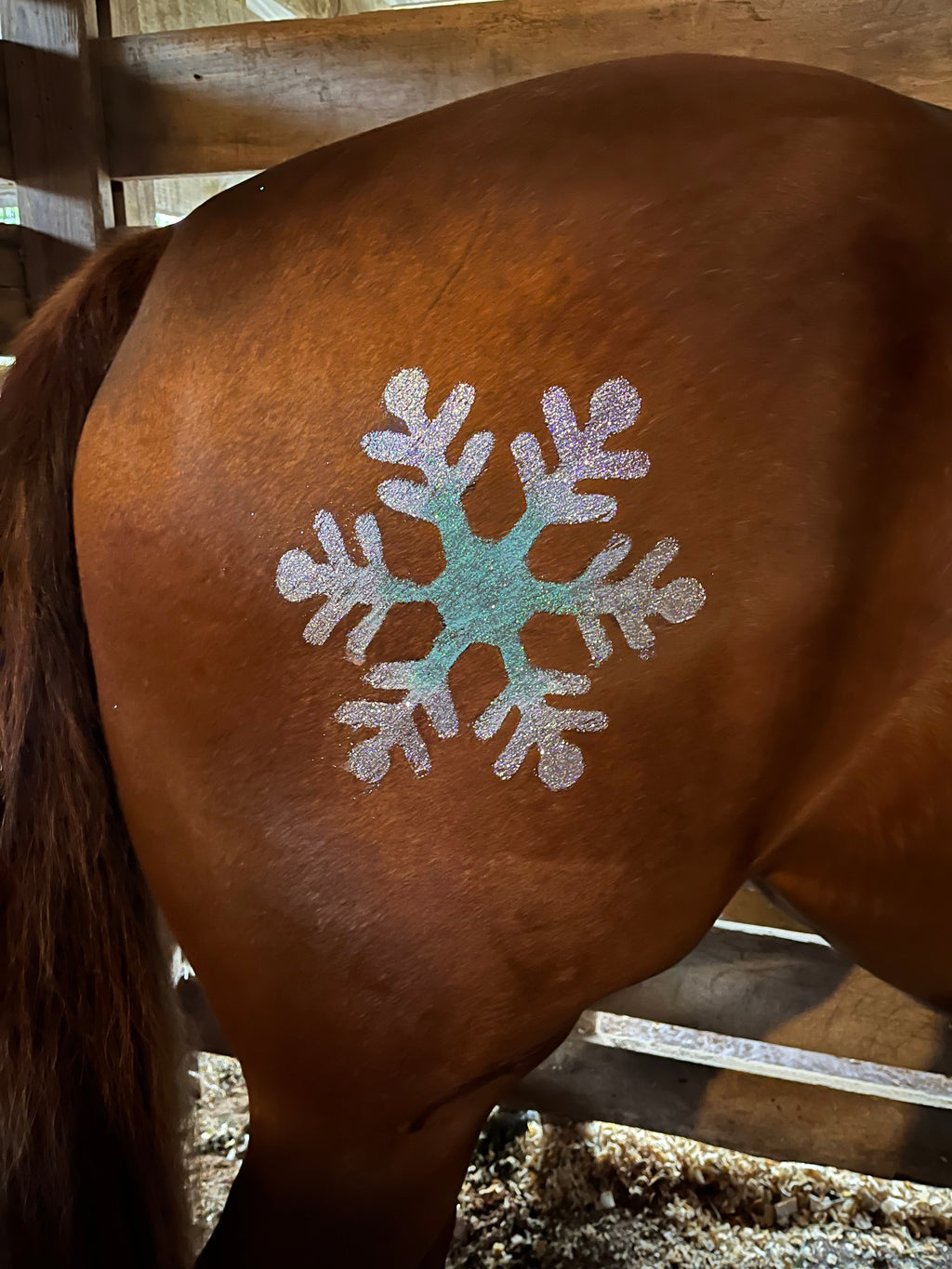 Snowflake Single