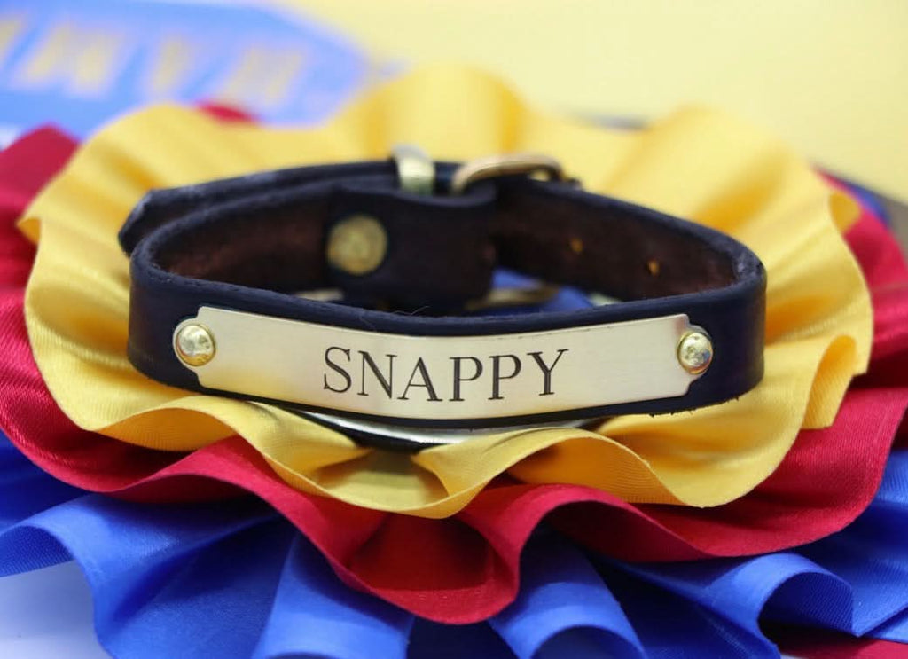 Toddler Sized Pony Bracelet