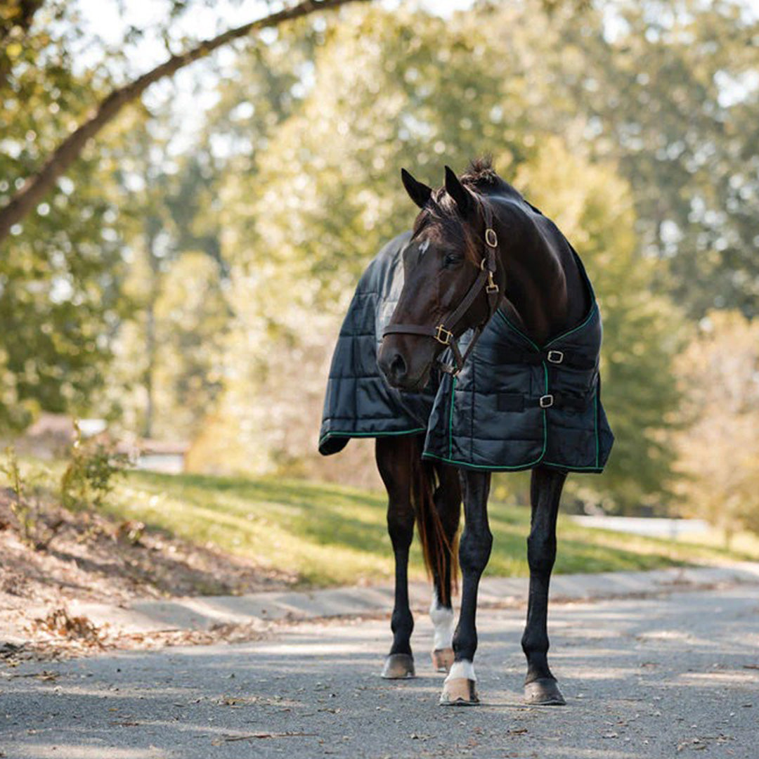 Miller's Medium Weight Stable Blanket 200 GSM Polyfill With Cotton Lining