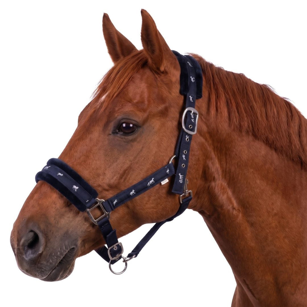 Miller's Breakaway Halter with Fleece