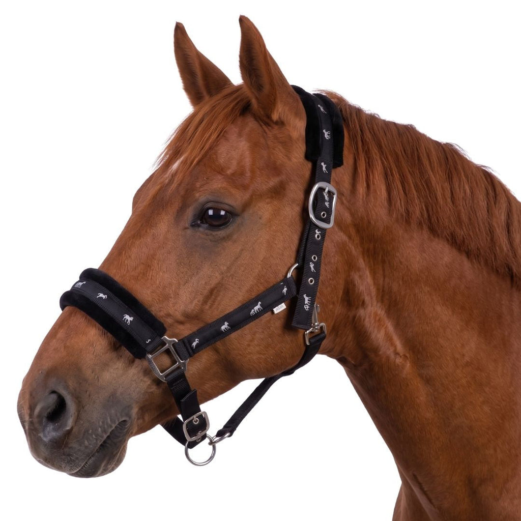 Miller's Breakaway Halter with Fleece