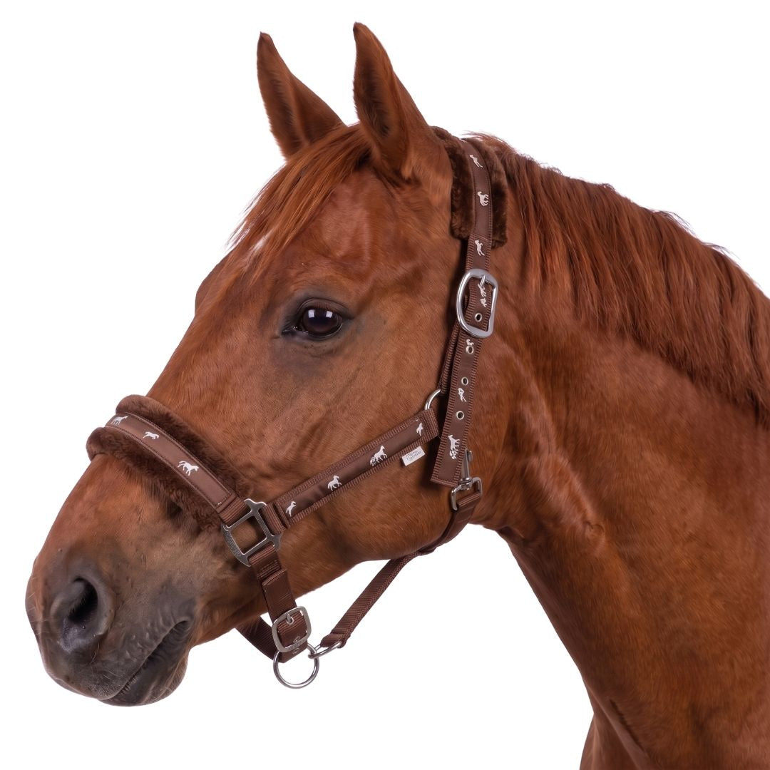 Miller's Breakaway Halter with Fleece