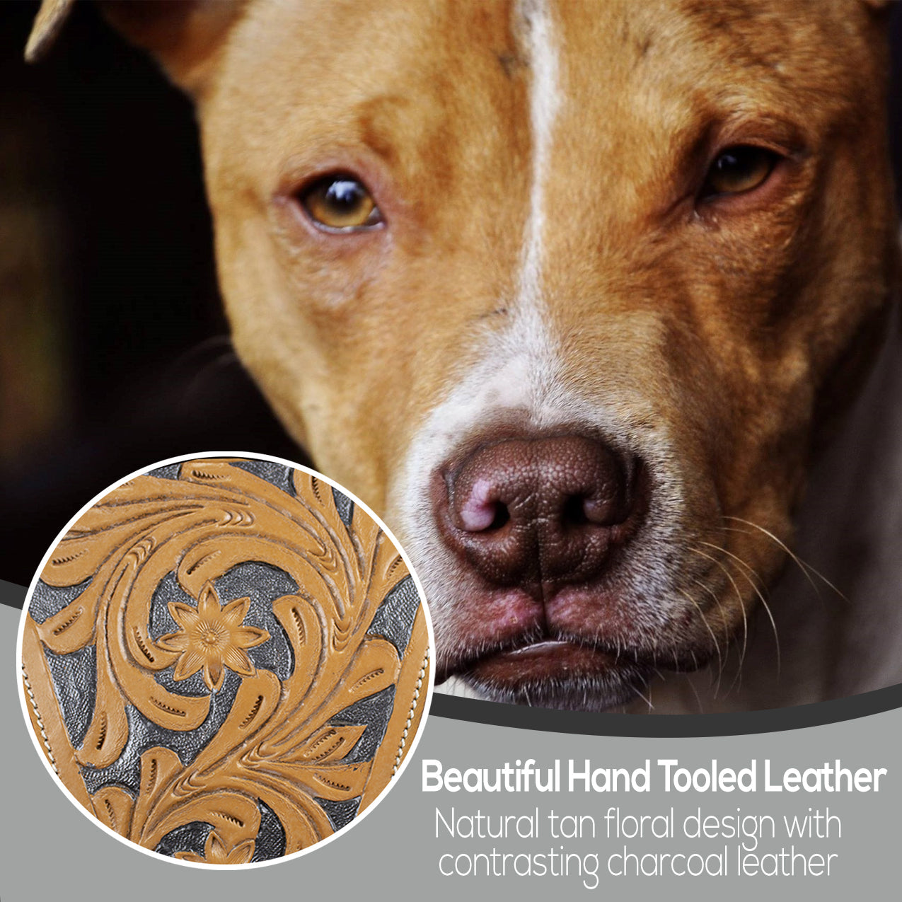 Premium Floral Tooled Gaucho Leather Padded Dog Pulling Harness