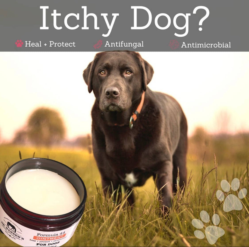 Formula 44 Ointment for Dogs
