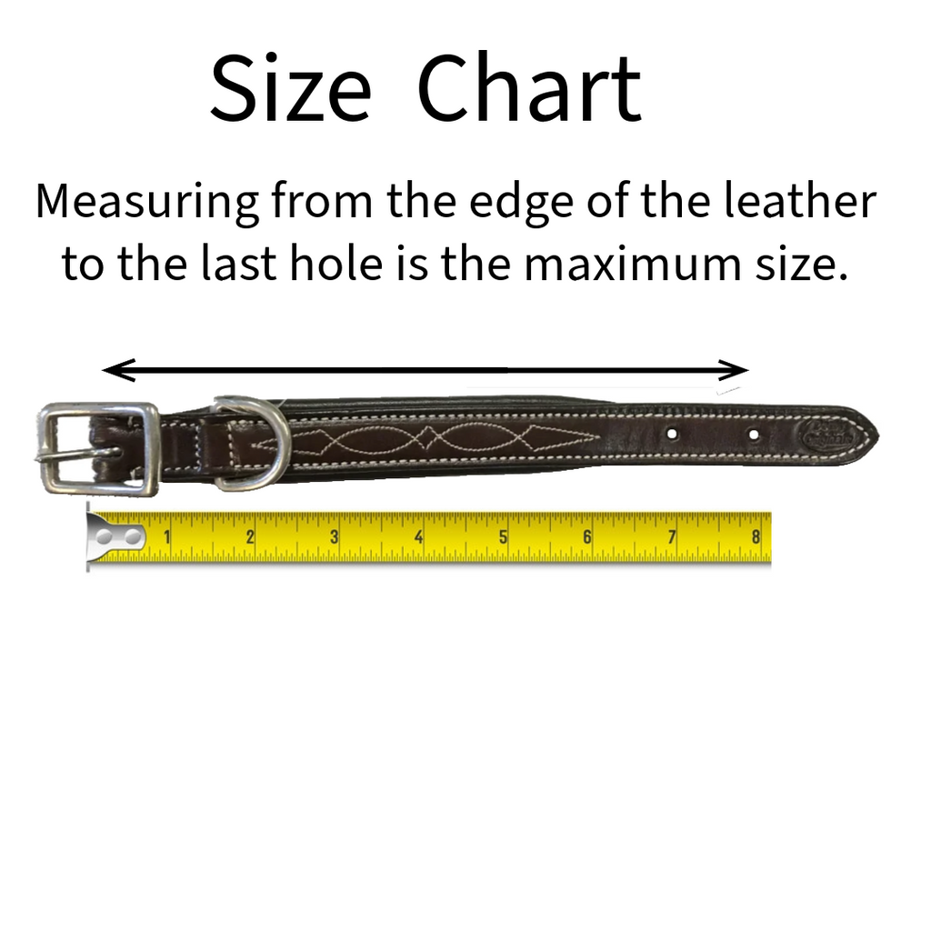 Derby Dog Designer Series Tooled USA Leather Padded Barbwire Dog Collar with Stainless Steel Rolled Buckle for Comfort