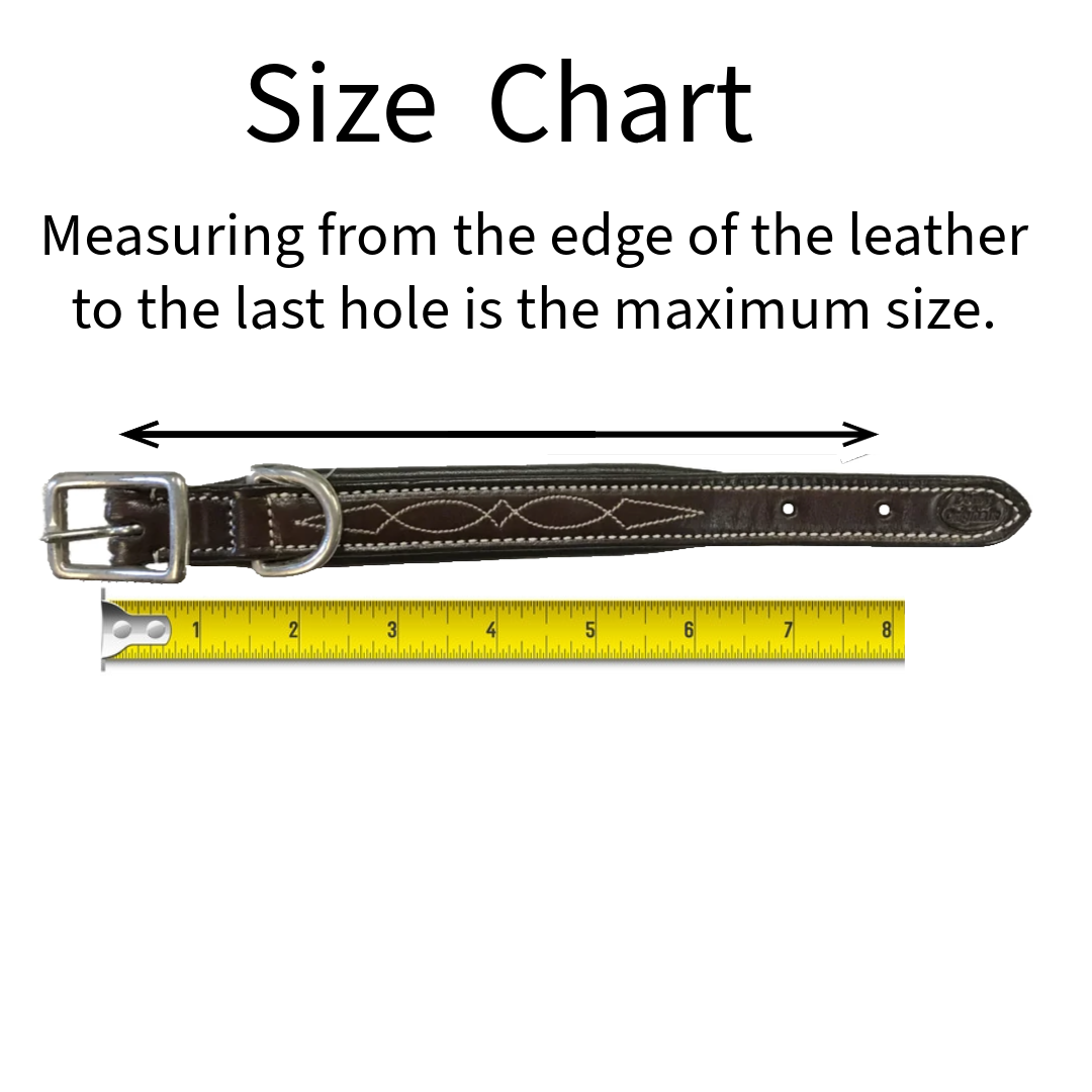 Derby Dog Designer Series Tooled USA Leather Padded Barbwire Dog Collar with Stainless Steel Rolled Buckle for Comfort