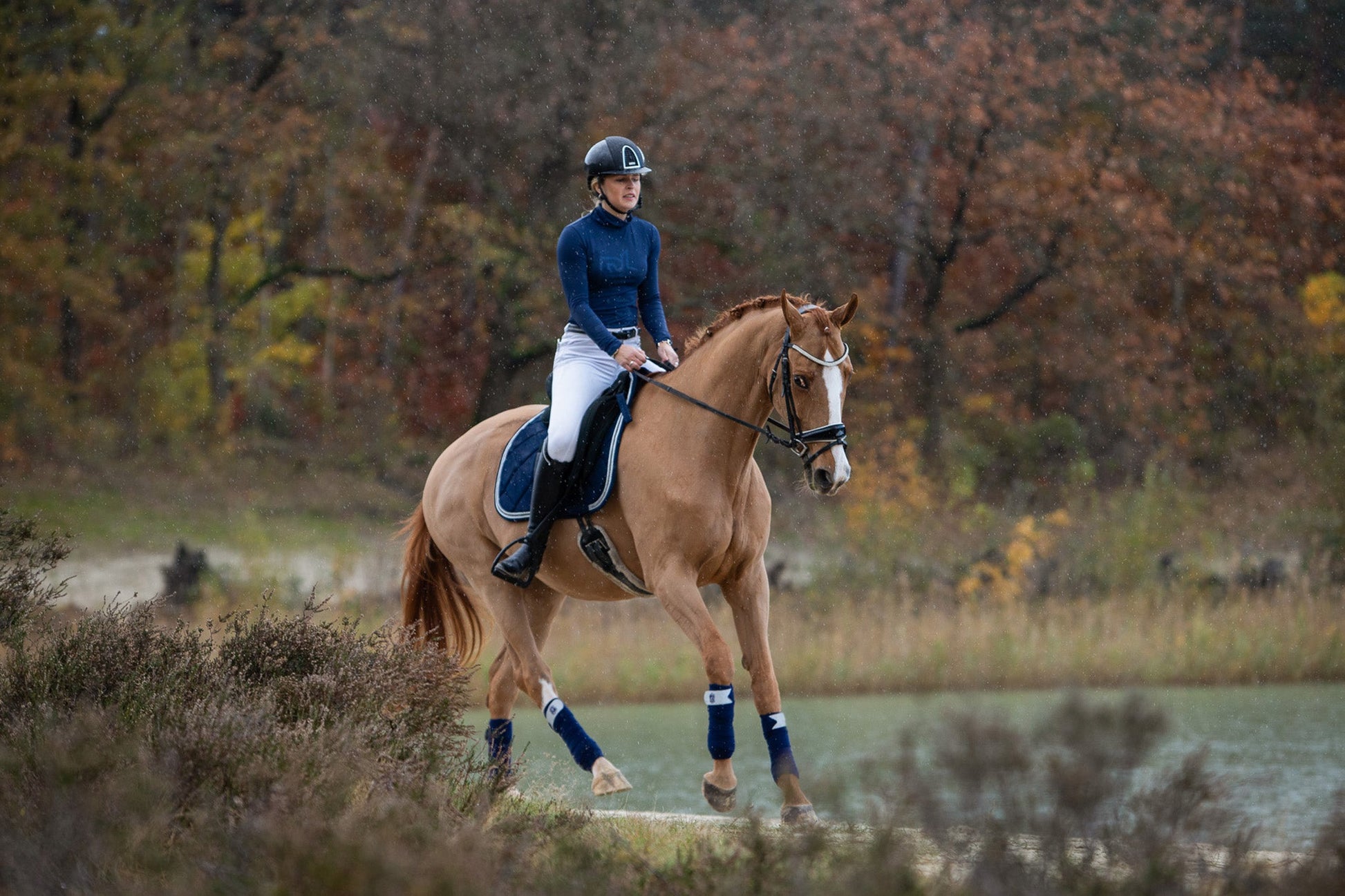 Blue Astra Saddle Pad