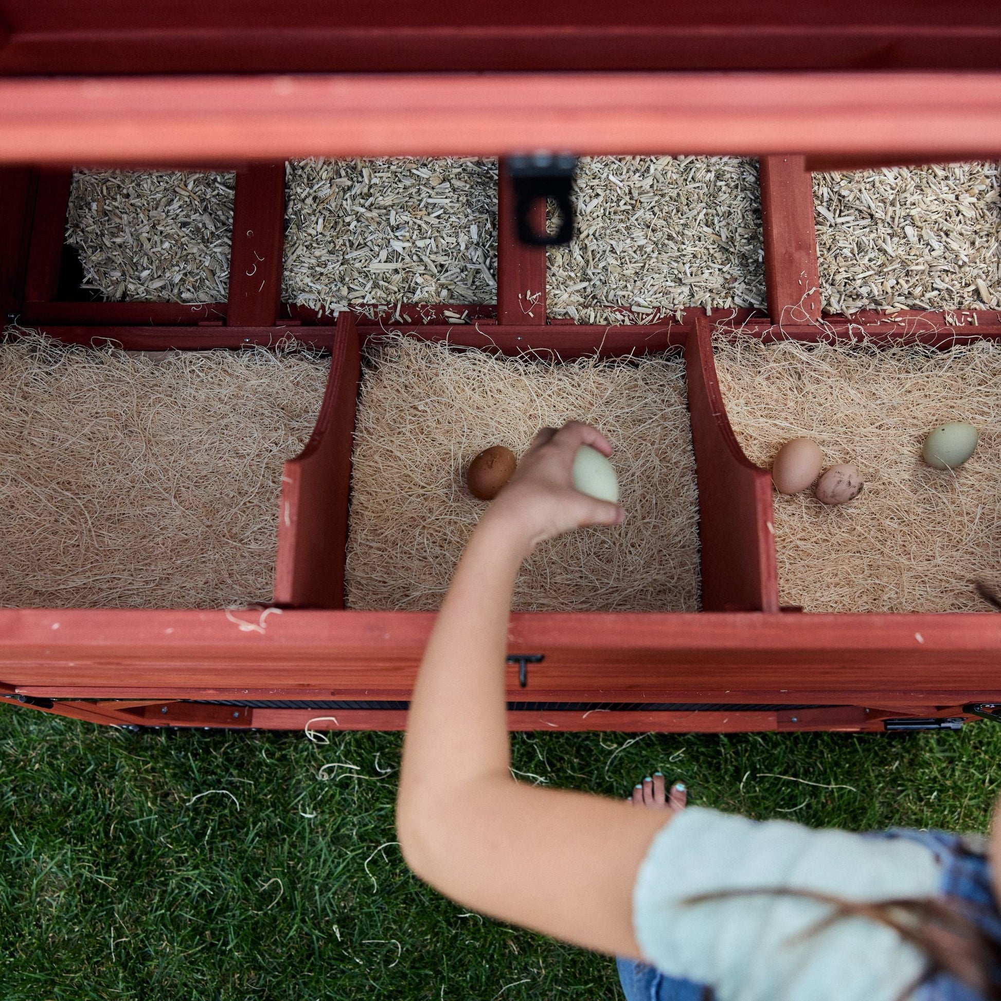 Chicken Coop for 10 Chickens - Rhode Island Homestead (Hen House Only)