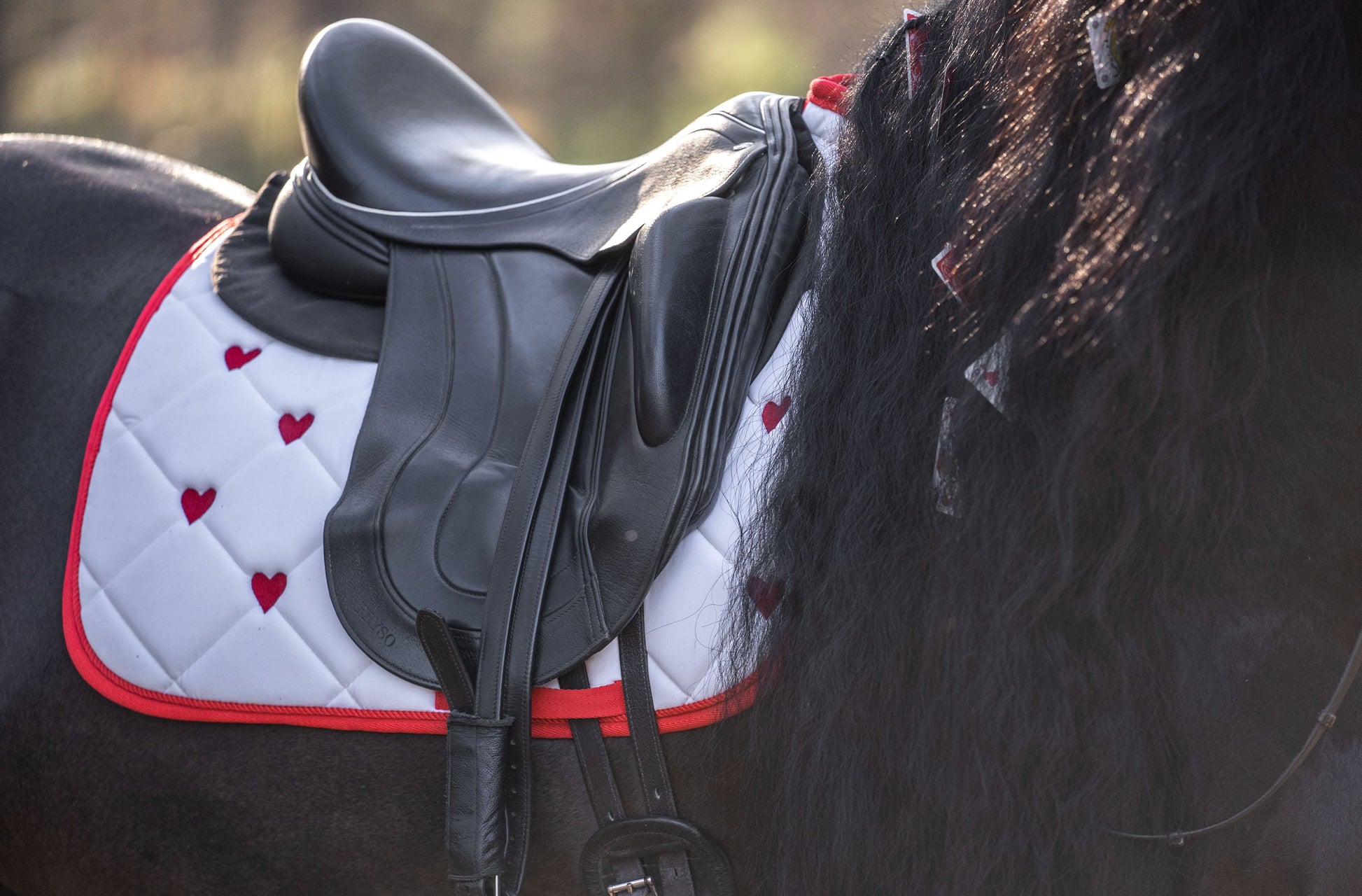 Queen Of Hearts Saddle Pad