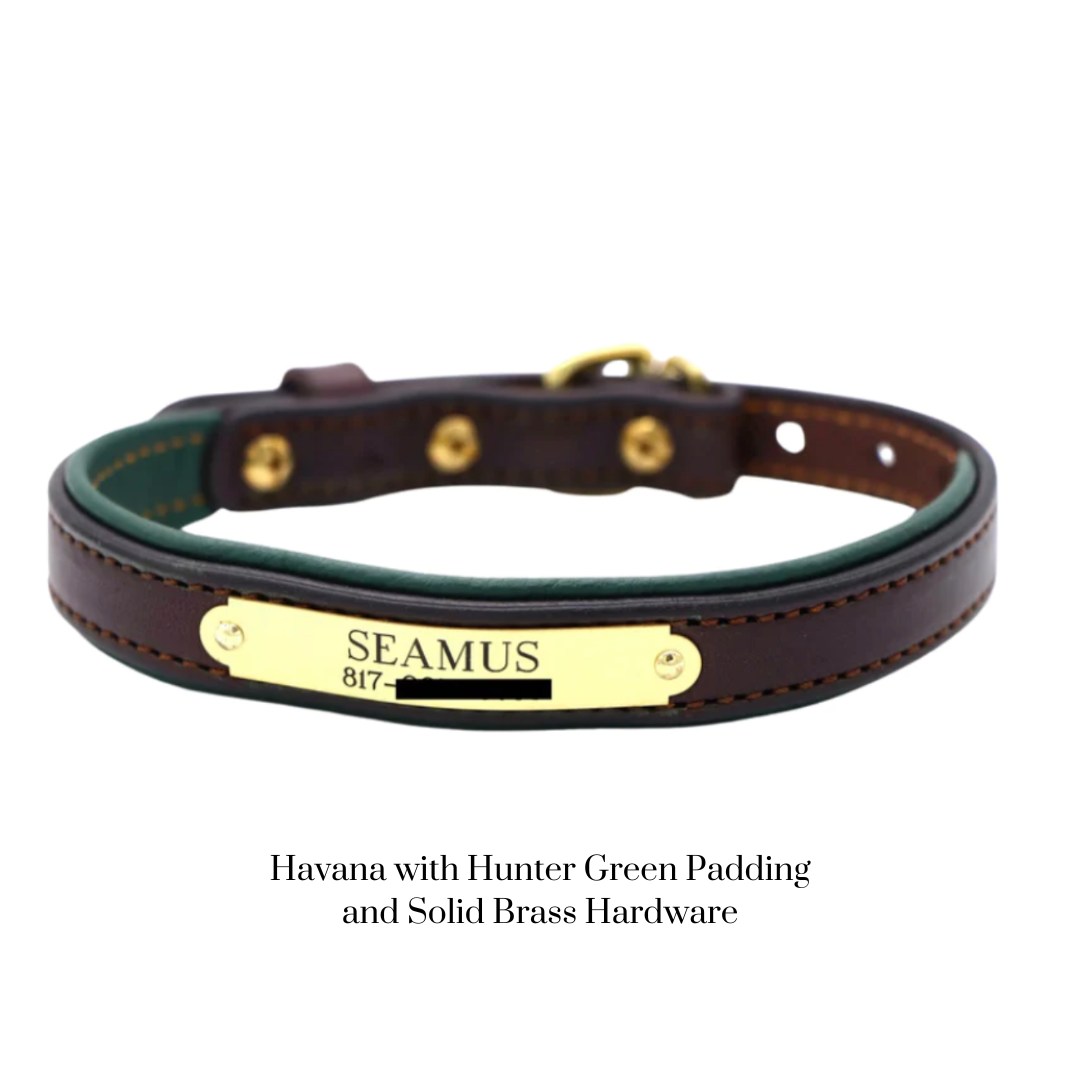 Padded Dog Collar