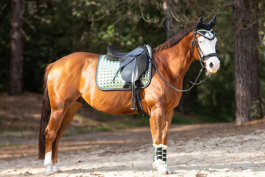 Green Lily Brushing Boots