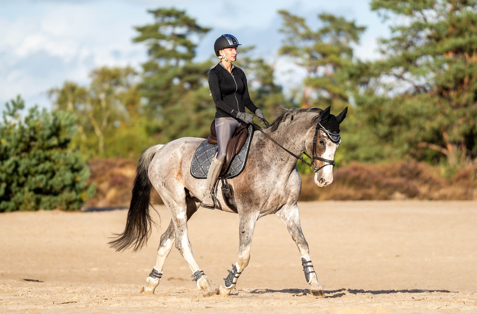 Stardust Grey Browband