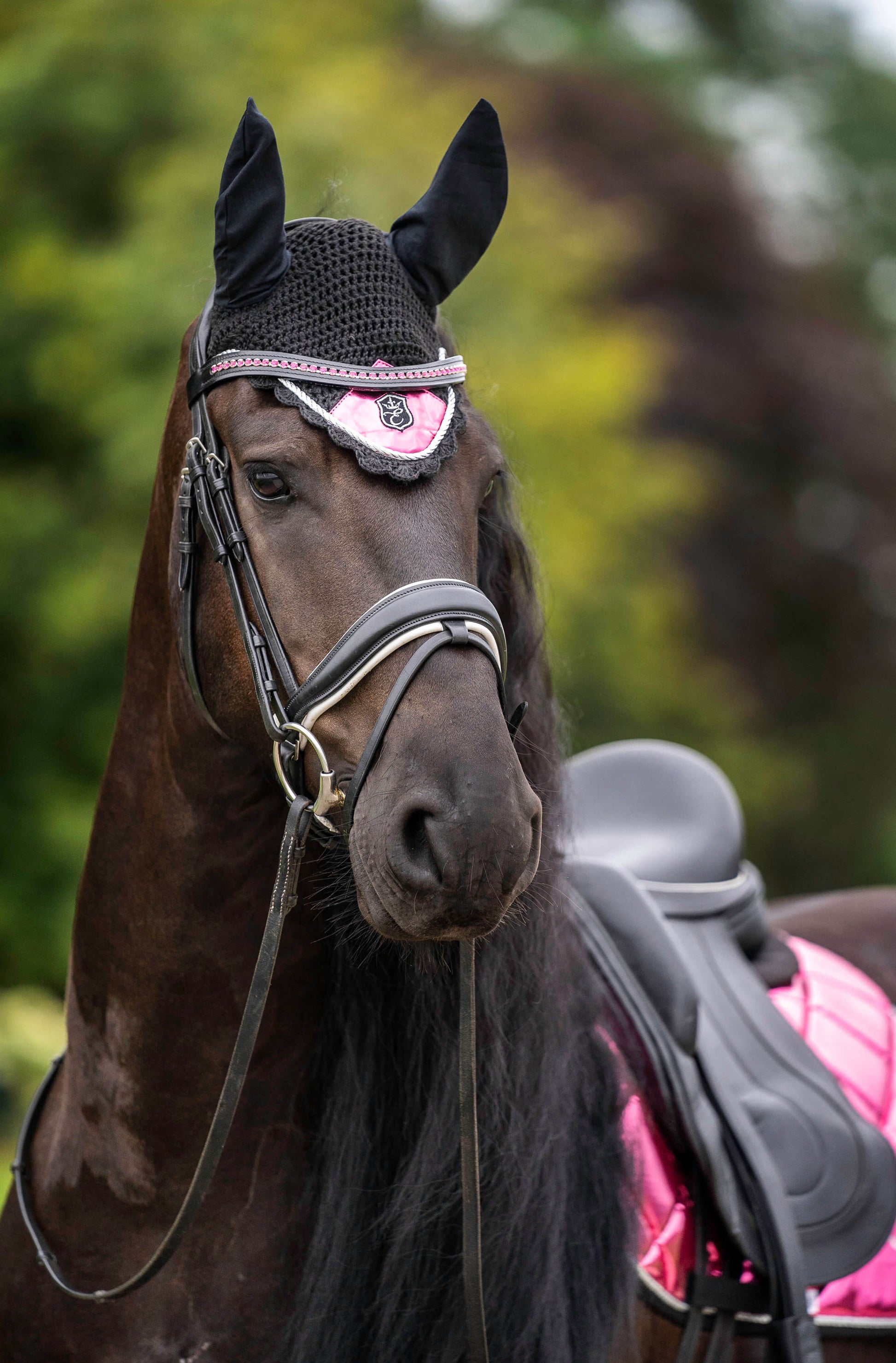 Neon Pink Browband