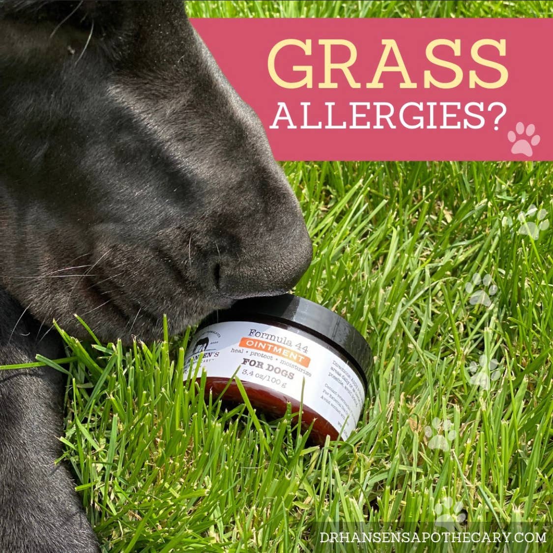 Formula 44 Ointment for Dogs