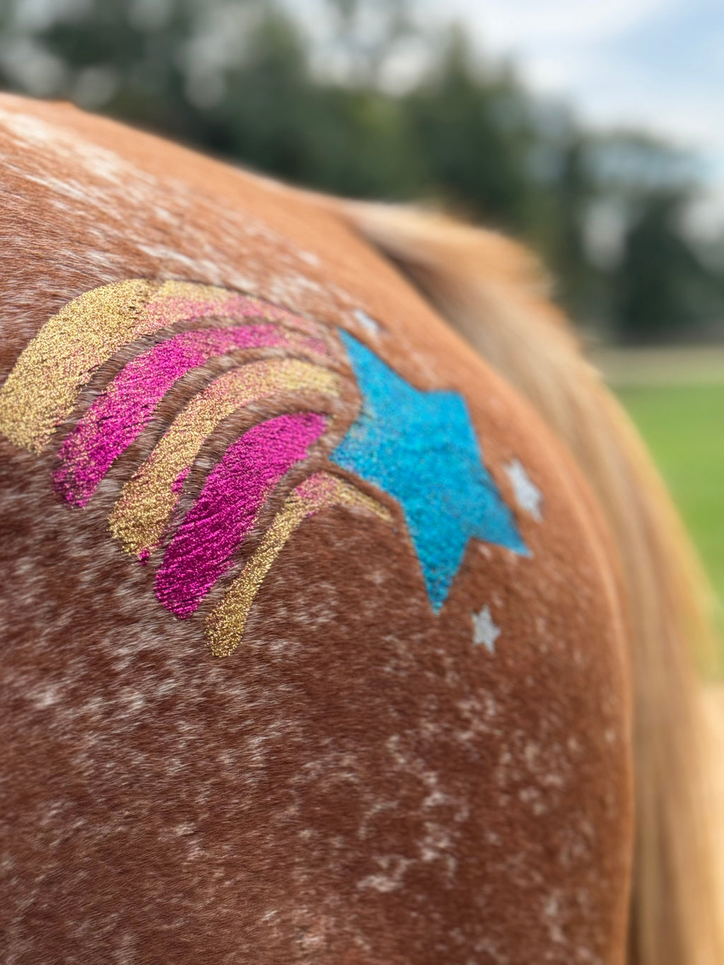 Rainbow Star