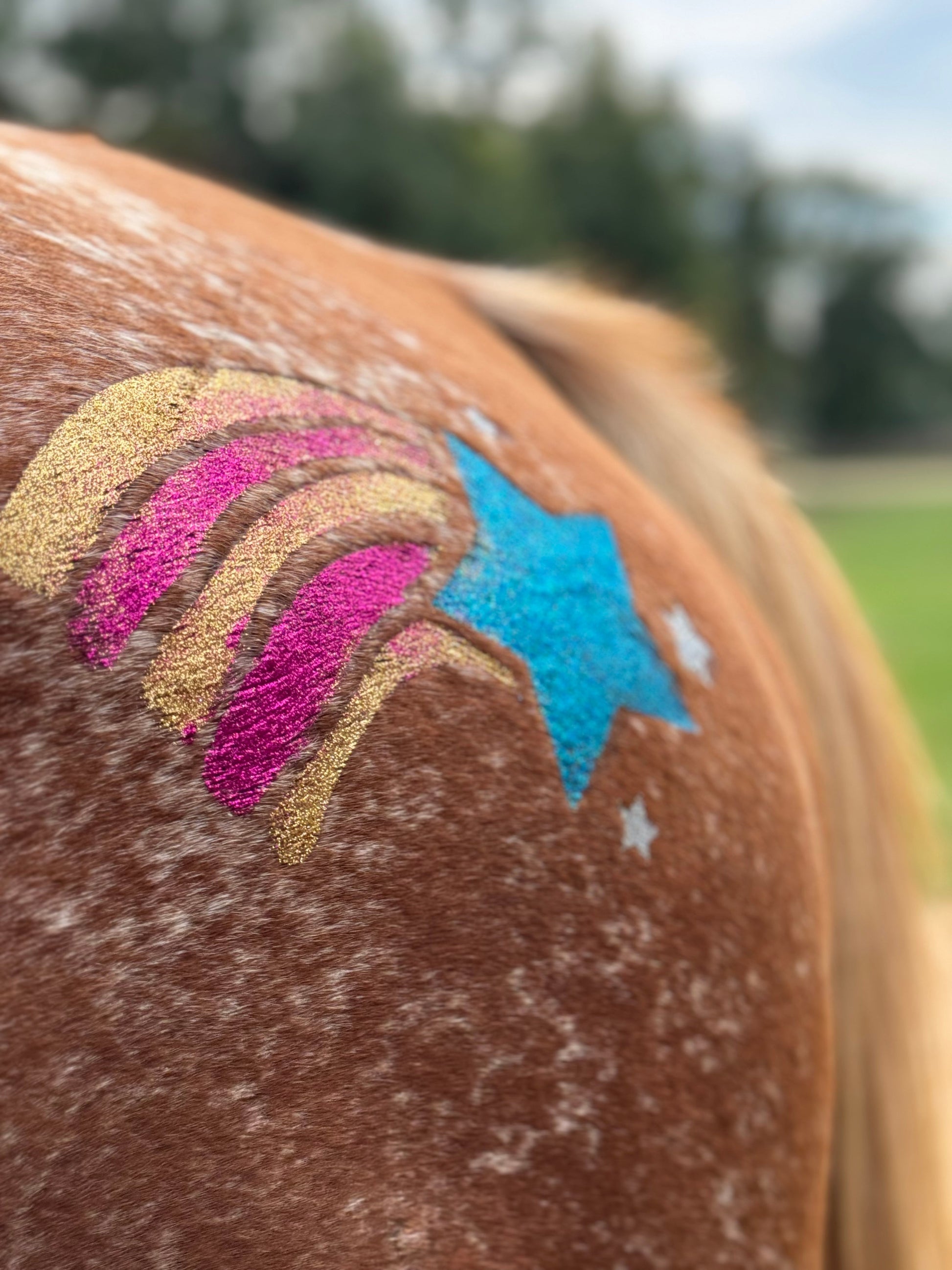 Rainbow Star