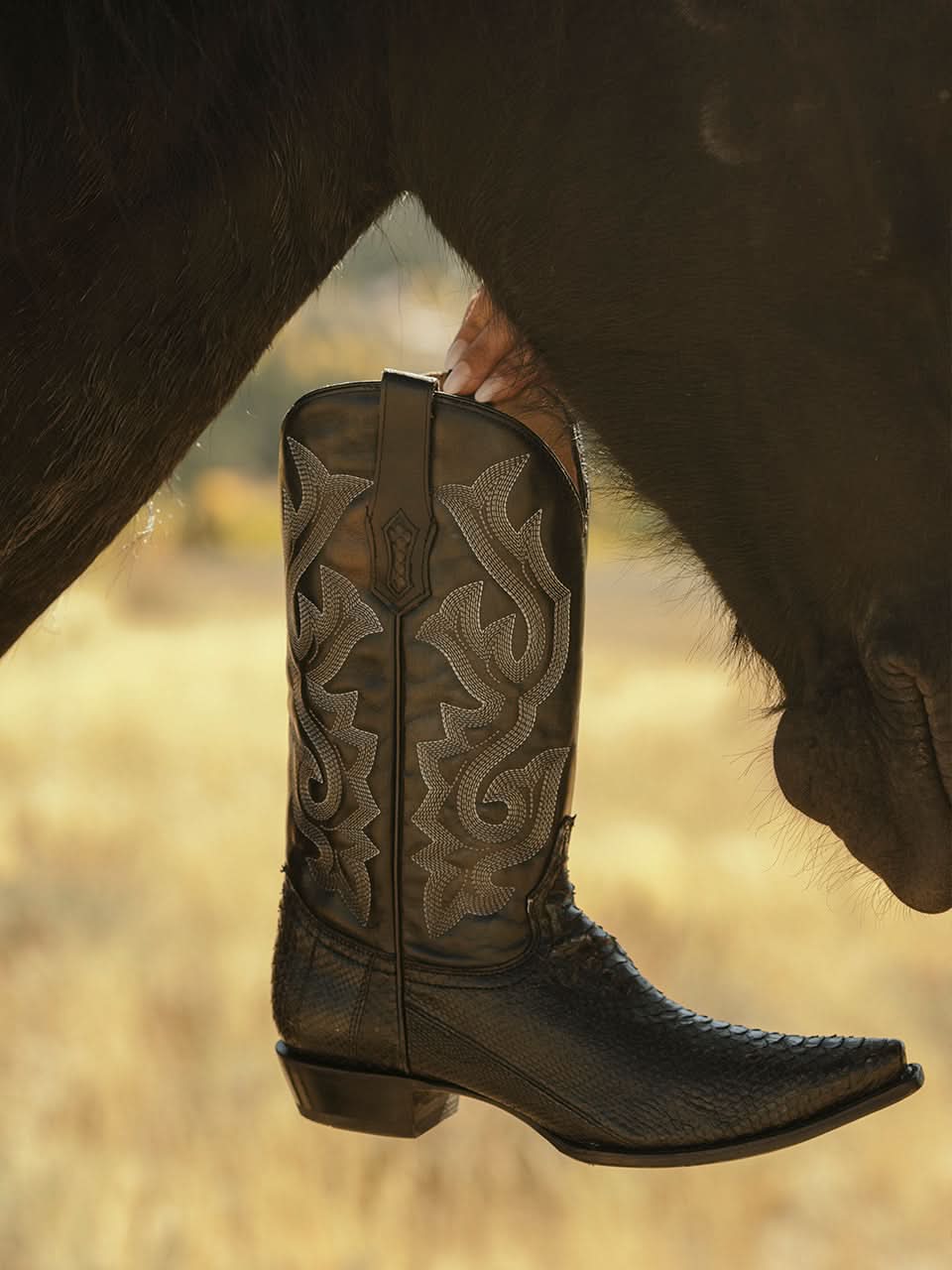 A4643 - MEN'S BLACK PYTHON EMBROIDERY SNIP TOE COWBOY BOOT