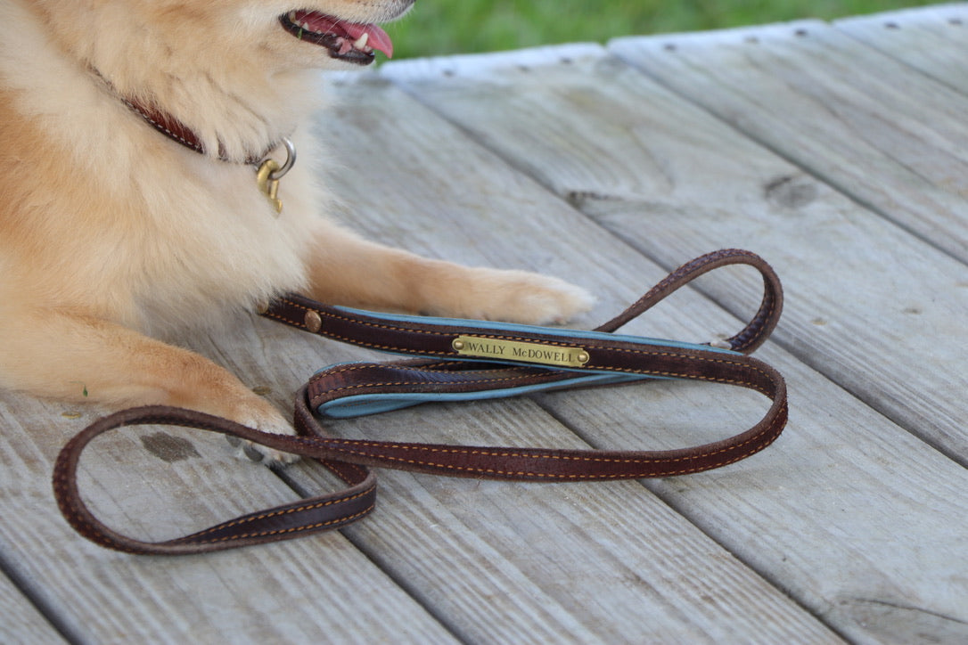 Padded Dog Leash