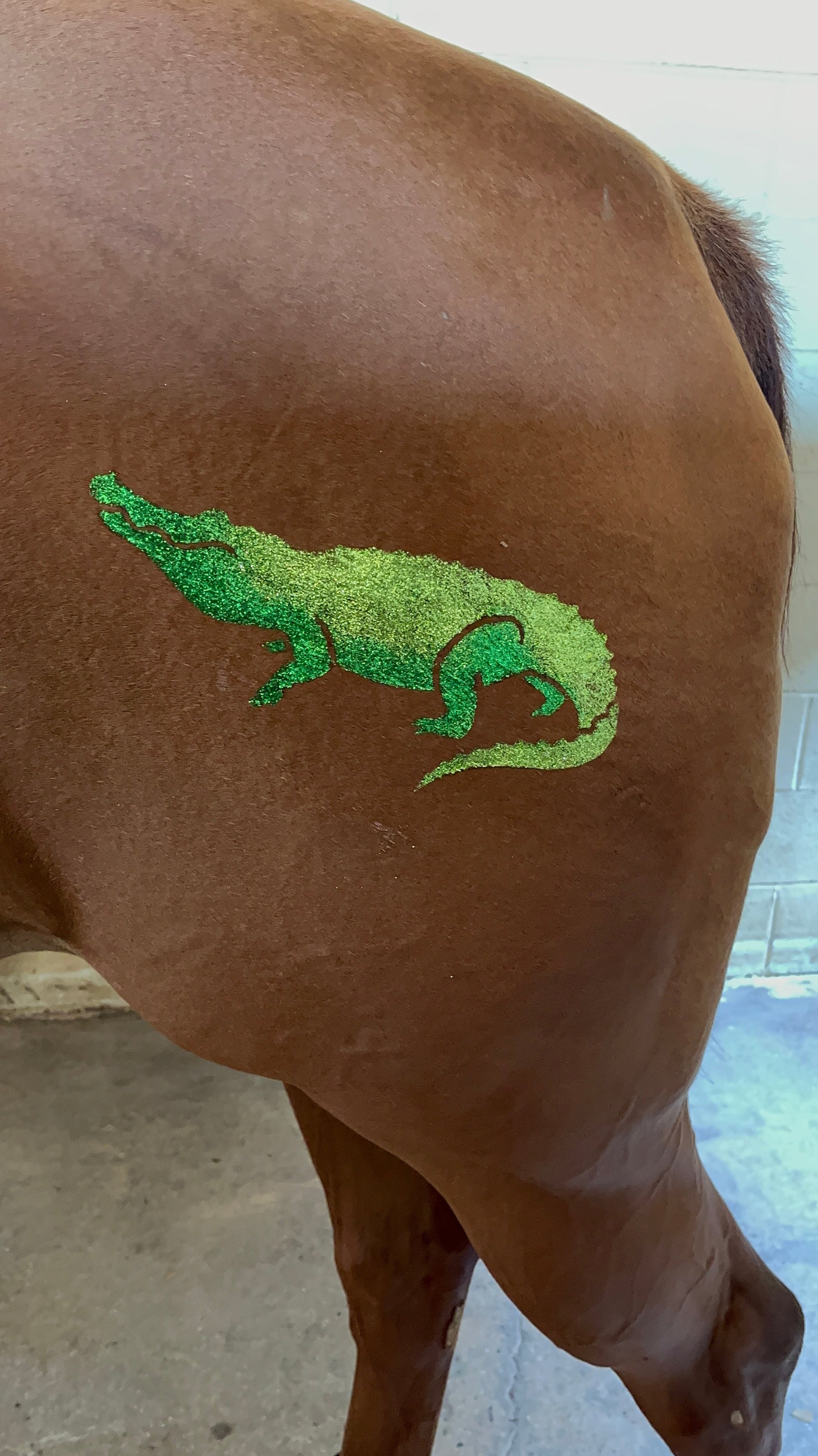 Alligator Minimarx