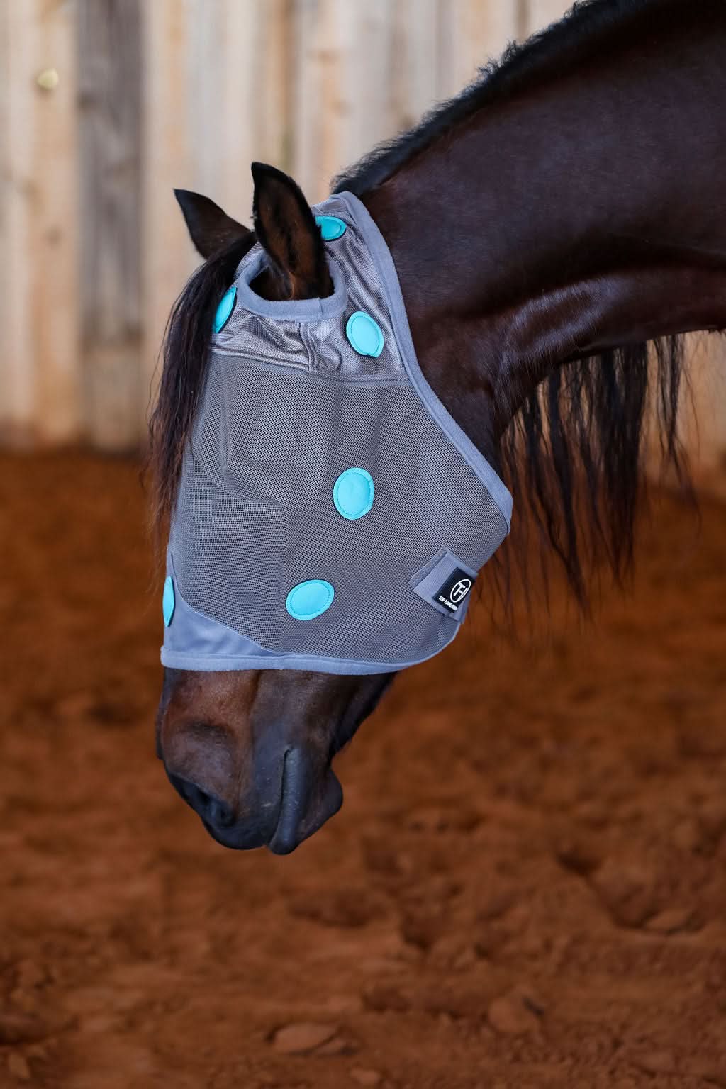 Magnetic Therapy Fly Mask – Burch HIll Tack
