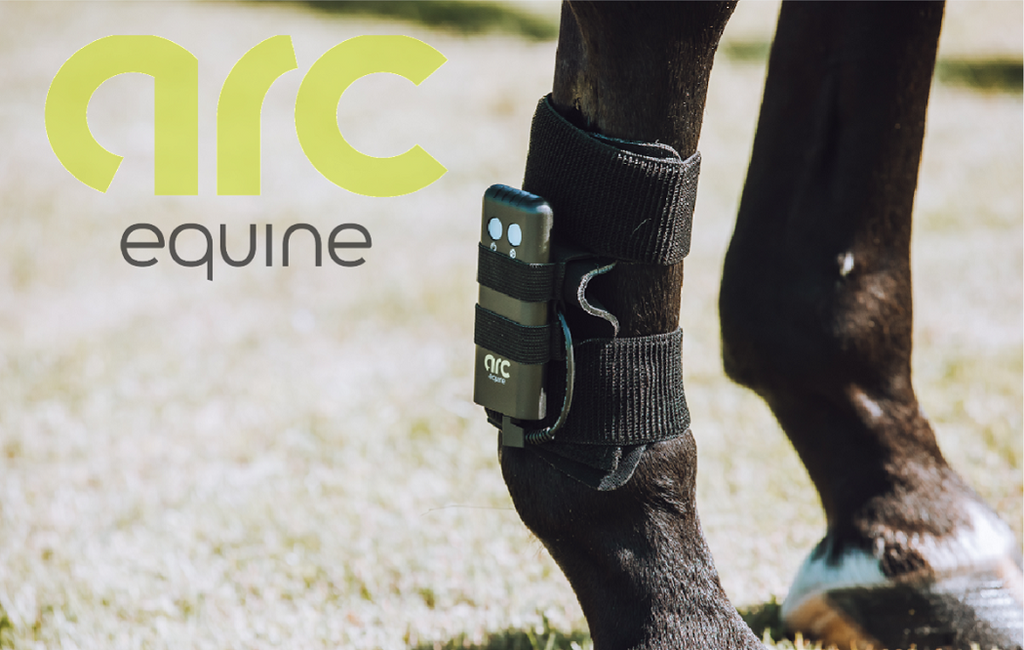 ARC Equine Therapy System Carbon Rubber Pads