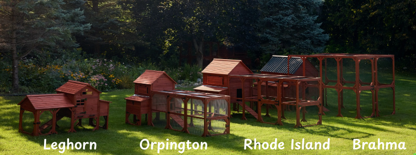 Chicken Coop for 10 Chickens – Rhode Island Homestead Coop with Run Extension Options