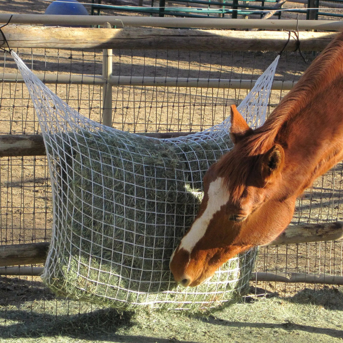 Freedom Feeder Extended Day Net - Slow Feed Hay Net - 2 String Bale - 3 Size Mesh Options