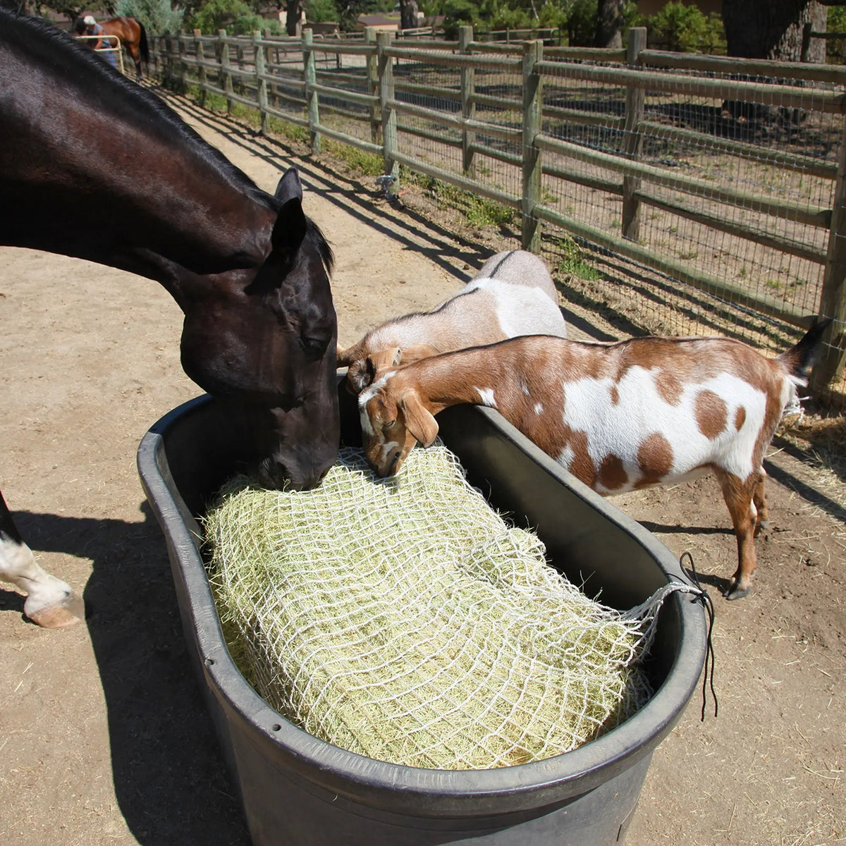 Freedom Feeder Full Bale Hay Net - Slow Feed Hay Net - 3 String Bale - 3 Size Mesh Options